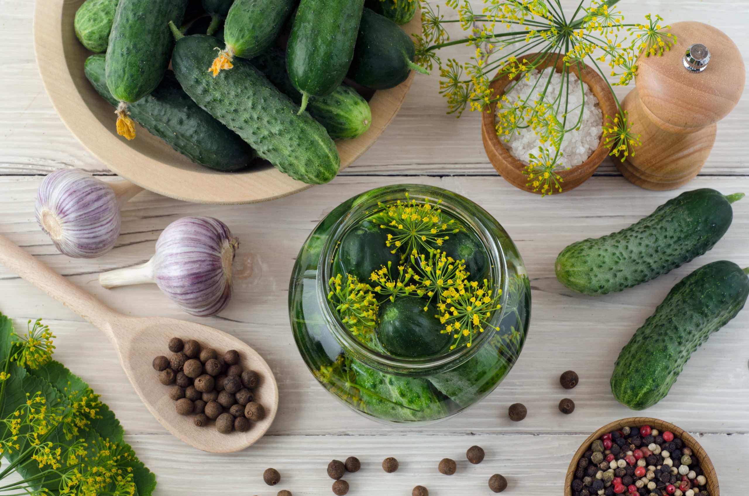 Sandy's Spicy Dill Pickles