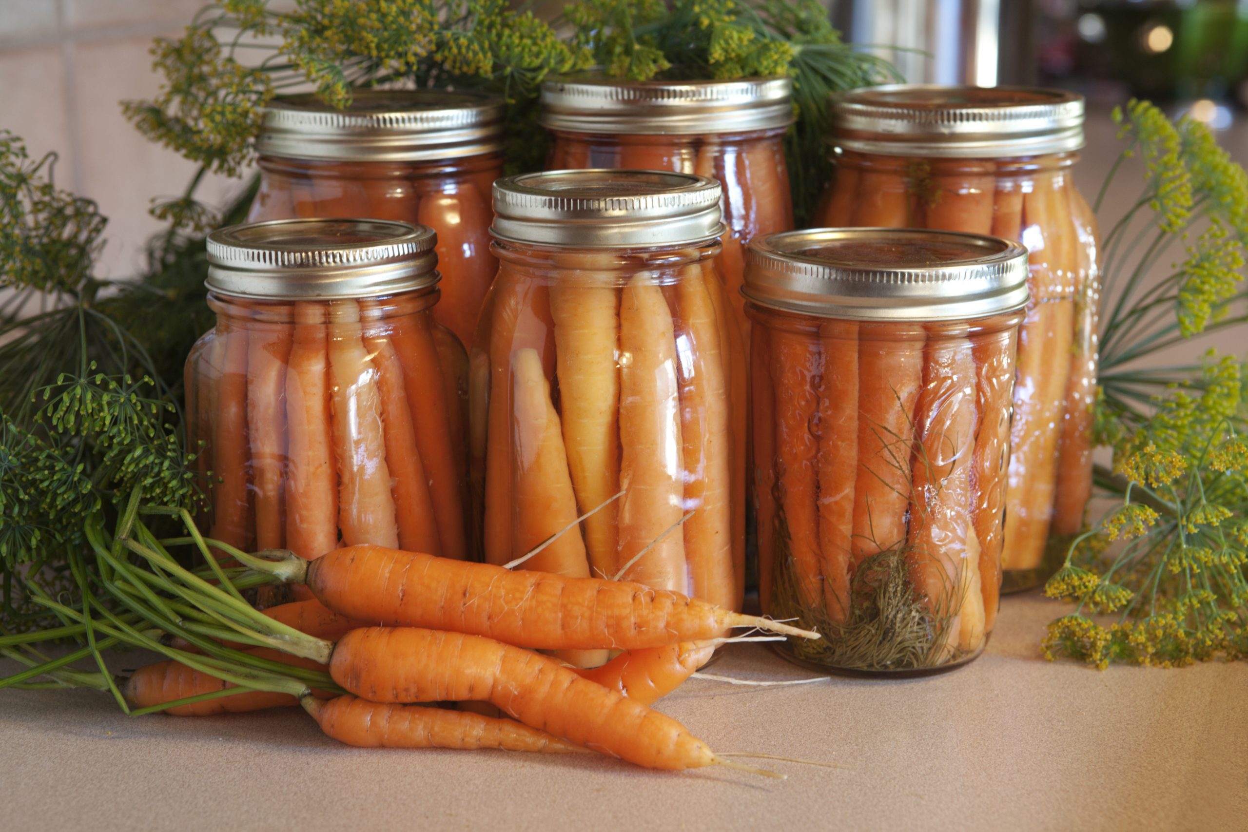 Dilly Carrots Recipe – Canning Carrots photo