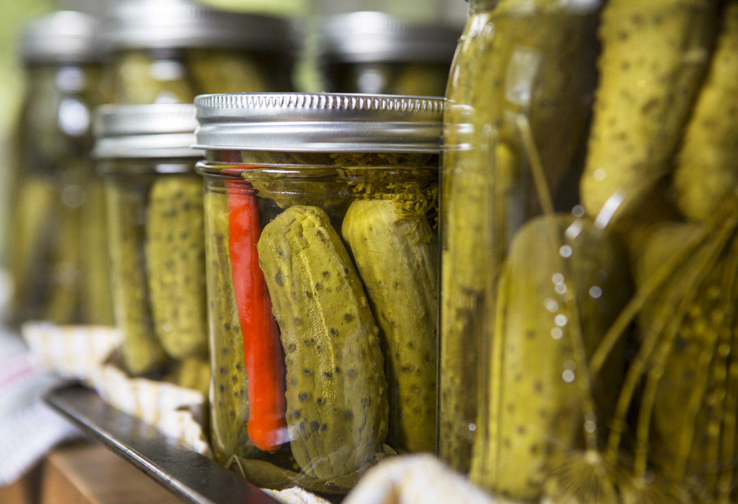 State Fair Kosher Dill Pickles