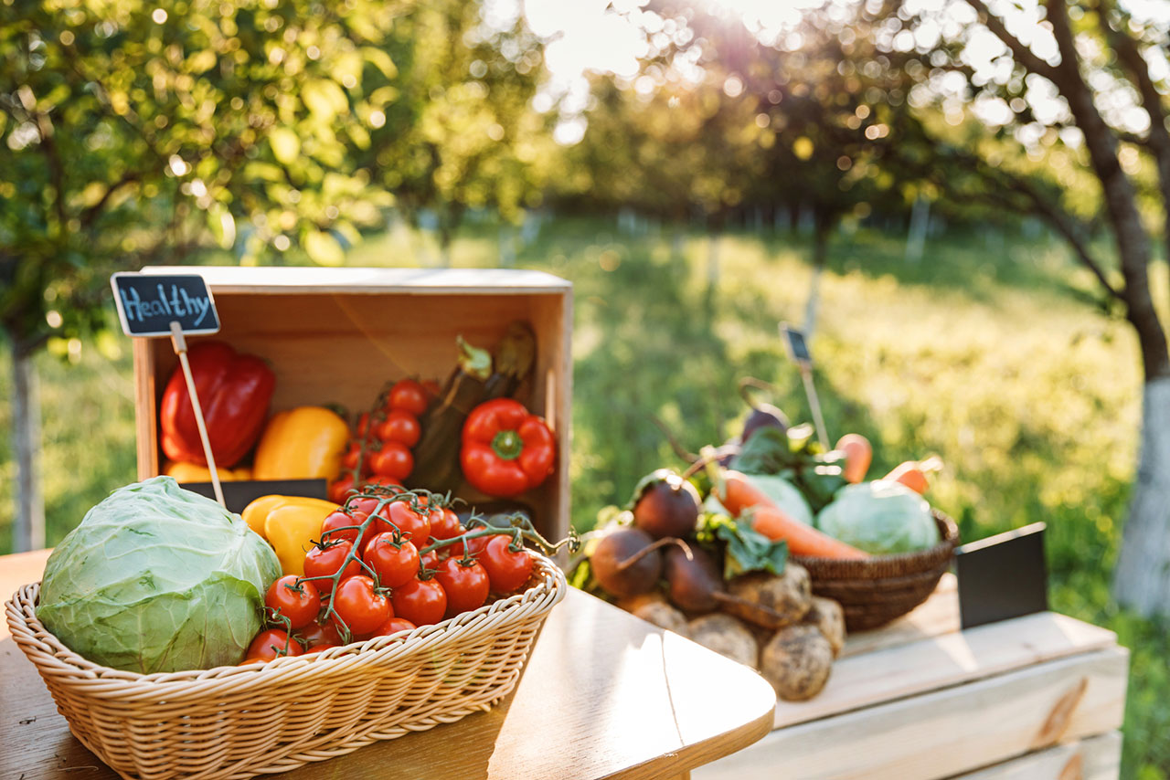 Garden Harvest