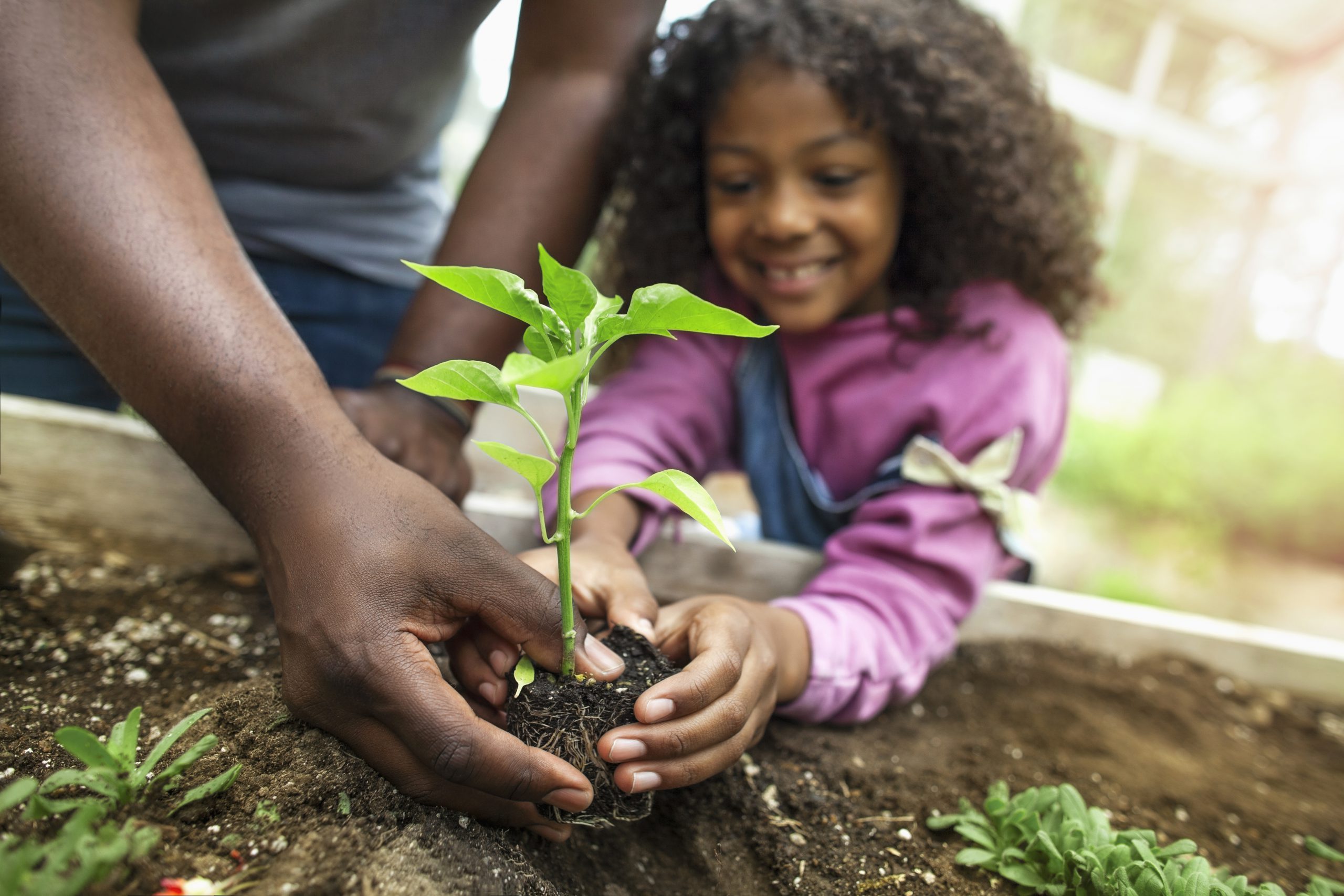 family gardening