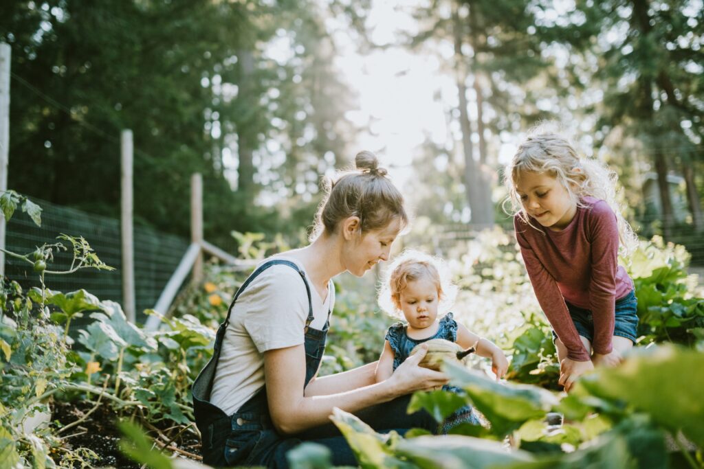 Having a lush, beautiful garden is desirable, but achieving it is easier said than done. Here are some tried and true ways to manage your garden better and keep it disease-free.
