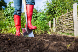 digging in the garden