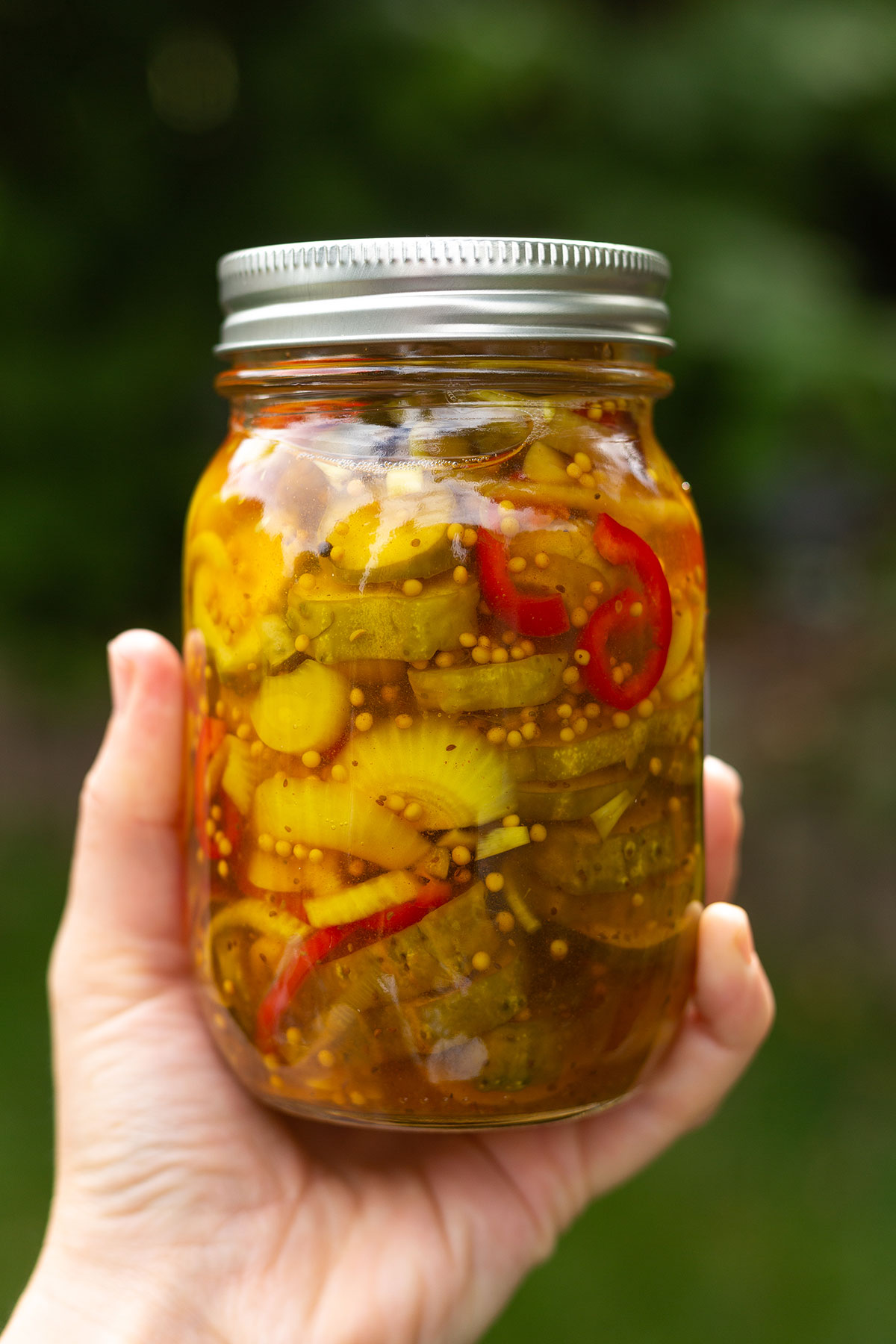 bread and butter pickles recipe